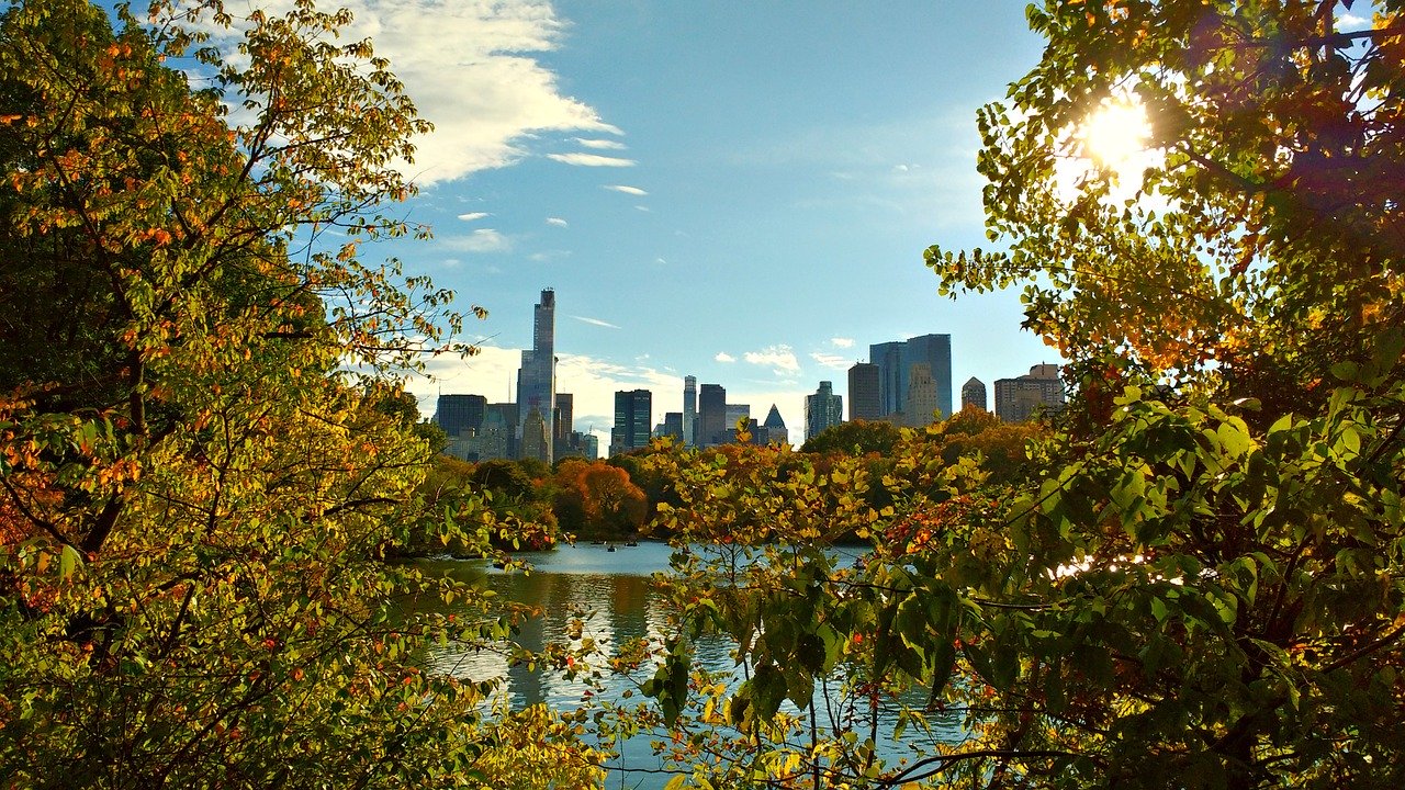 central park affordable places to visit in nyc