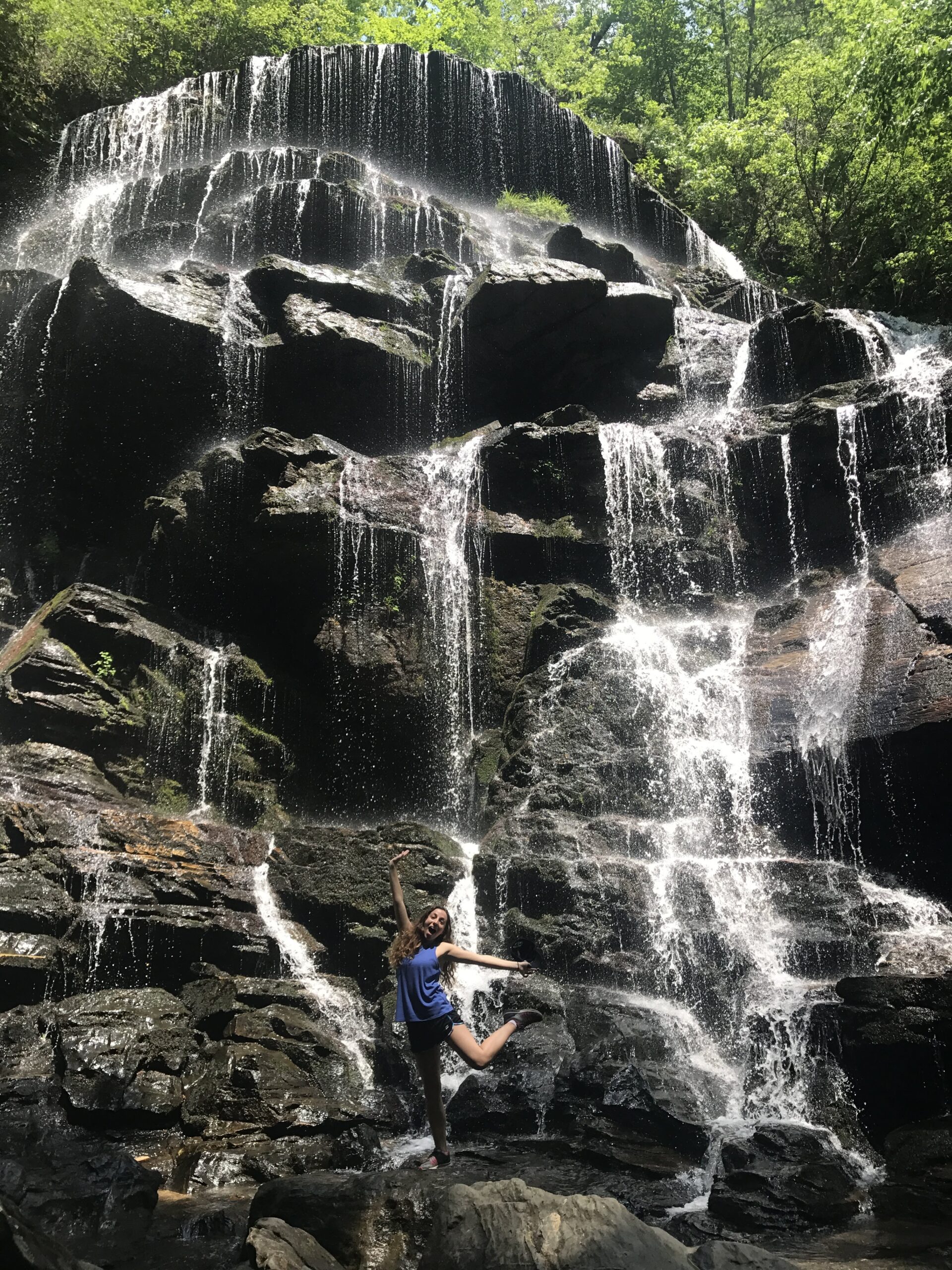 yellow branch falls hike south carolina