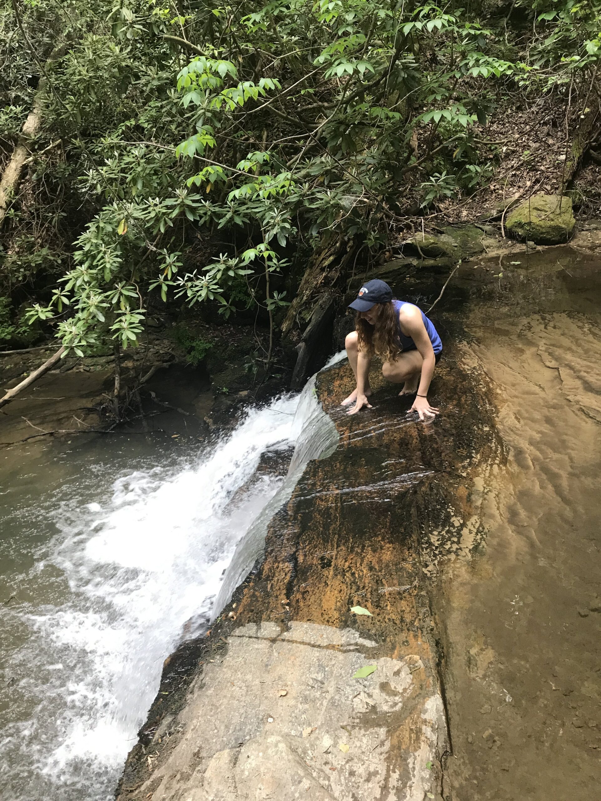 yellow branch falls sc