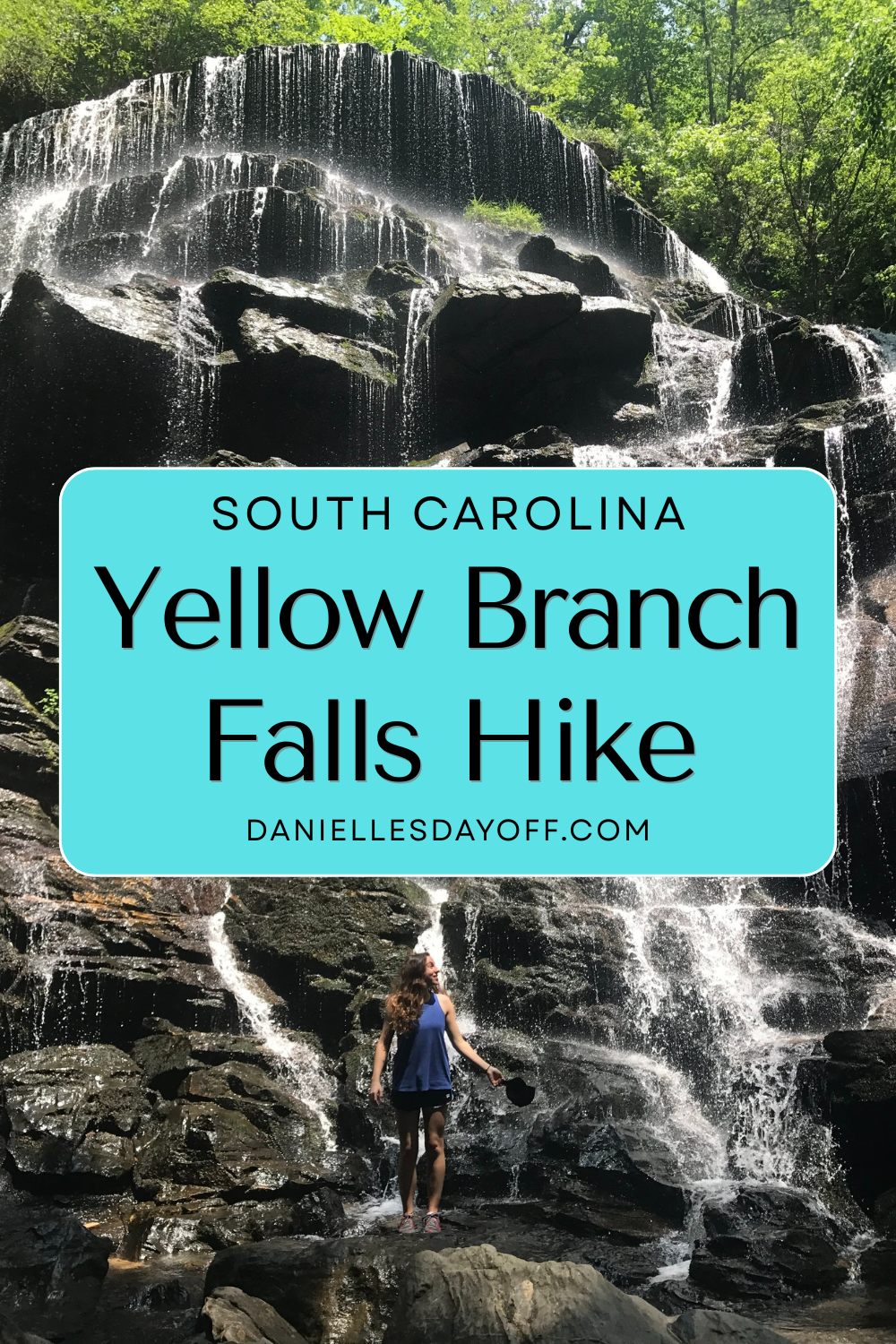 yellow branch falls hike pin